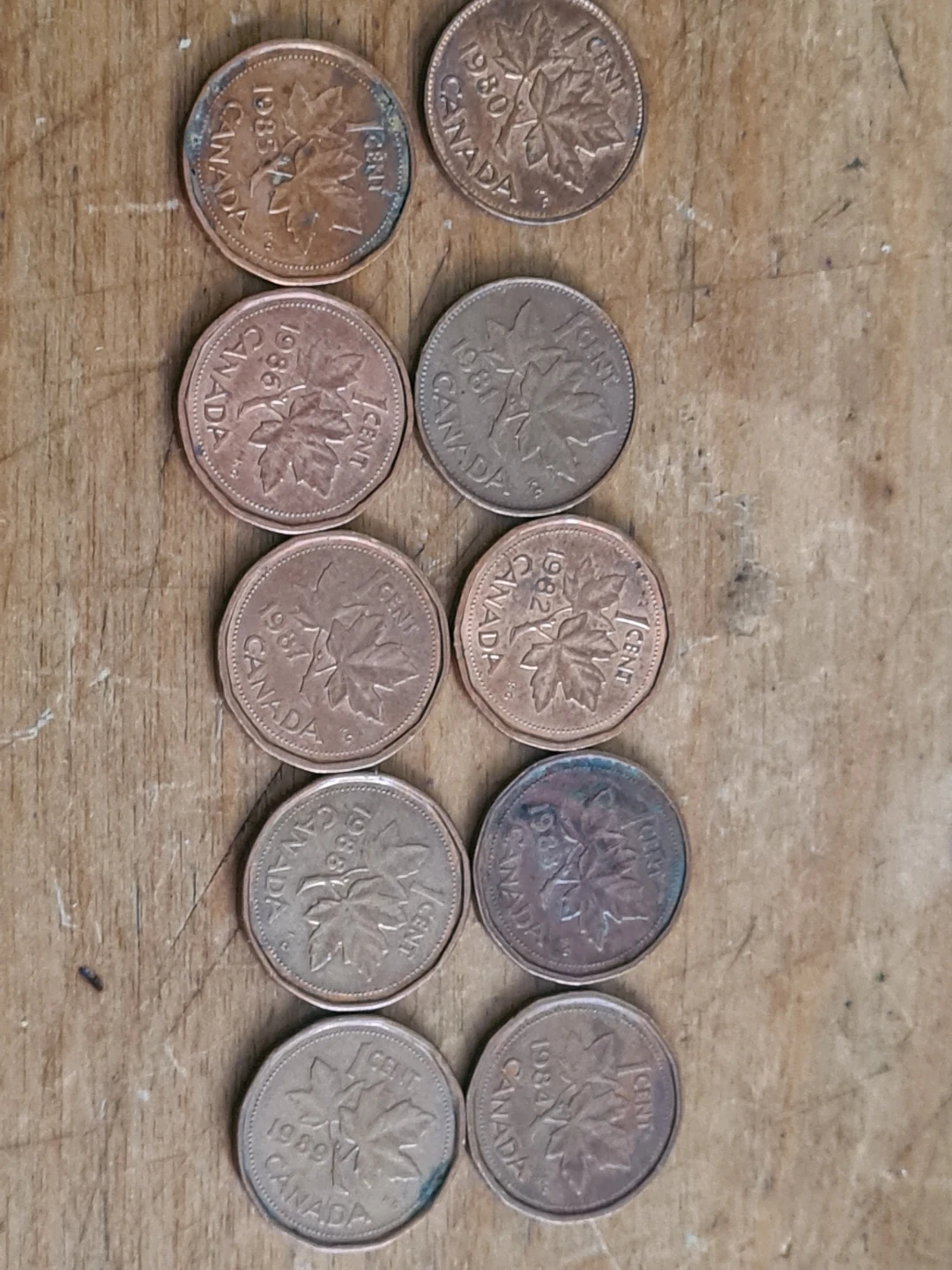 Collection of Canadian Pennies (1980-1989)