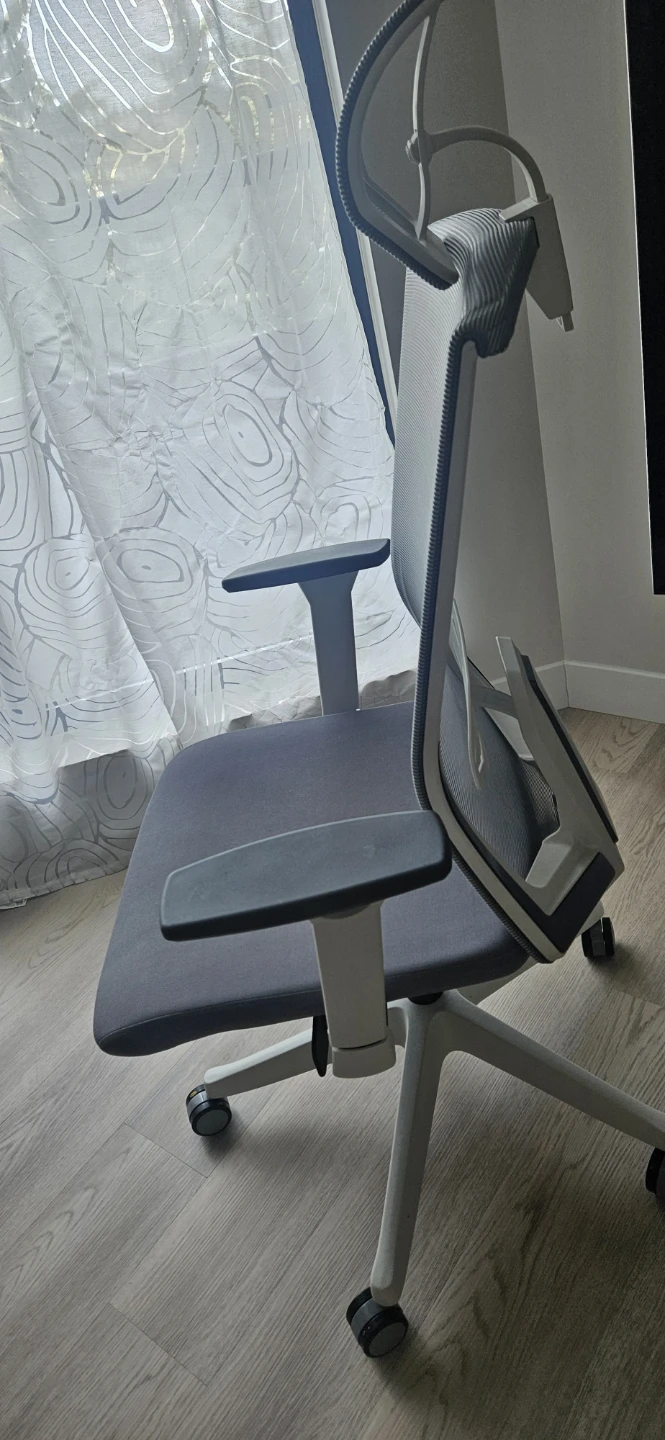 Ergonomic Mesh Office Chair with Headrest