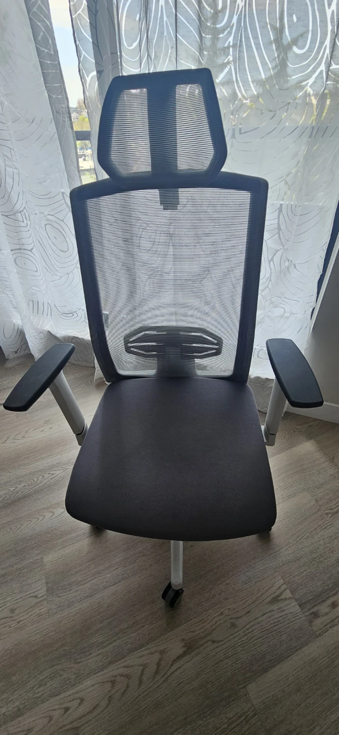 Ergonomic Mesh Office Chair with Headrest - photo 3
