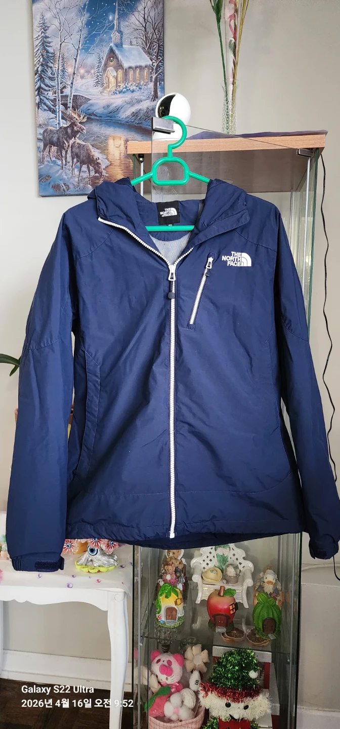 The North Face Navy Hooded Jacket