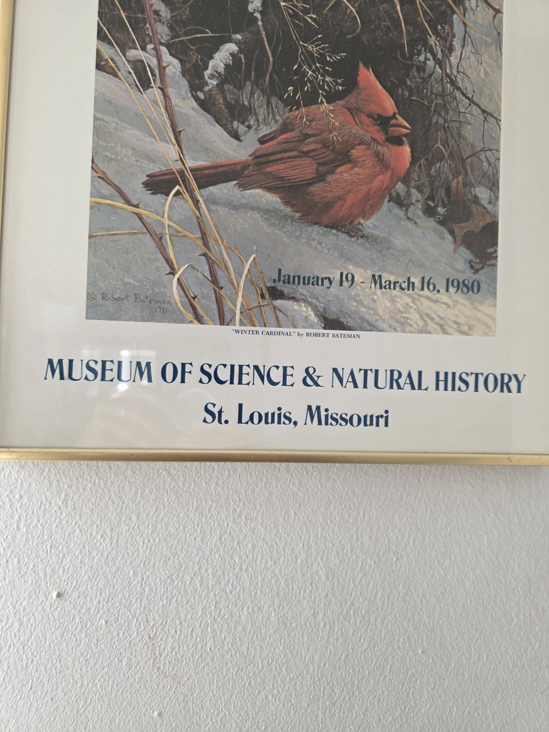 Robert Bateman picture - photo 2