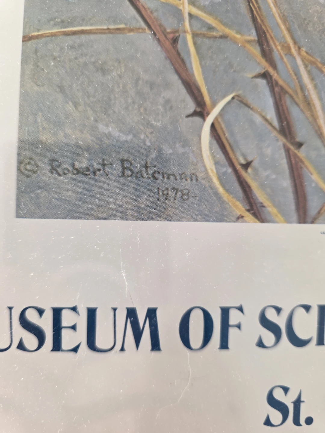 Robert Bateman picture - photo 5
