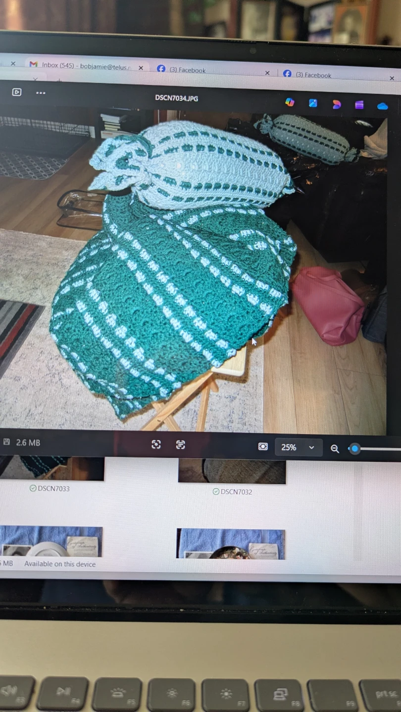 Crocheted Throw and 2  Bolster Set