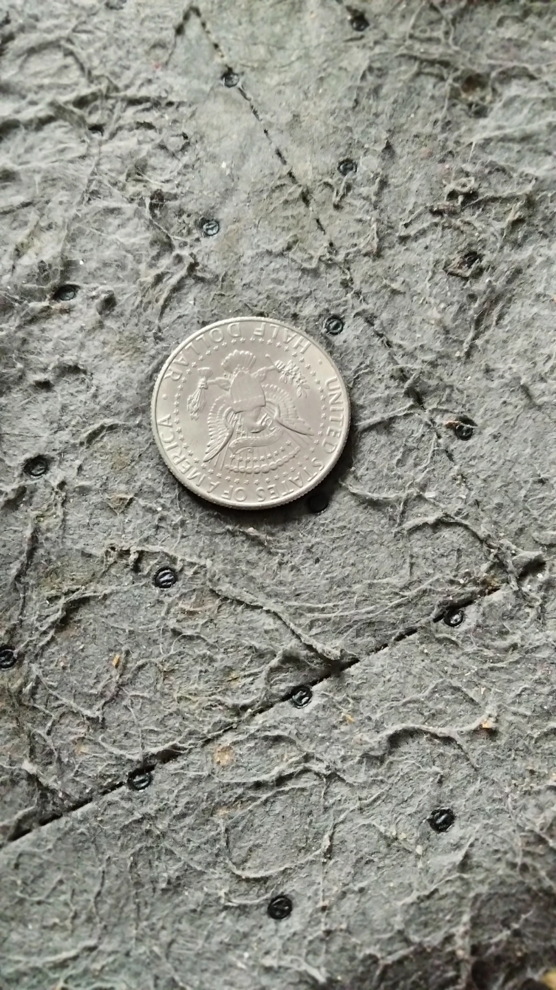 Se vende moneda de 25 centavos