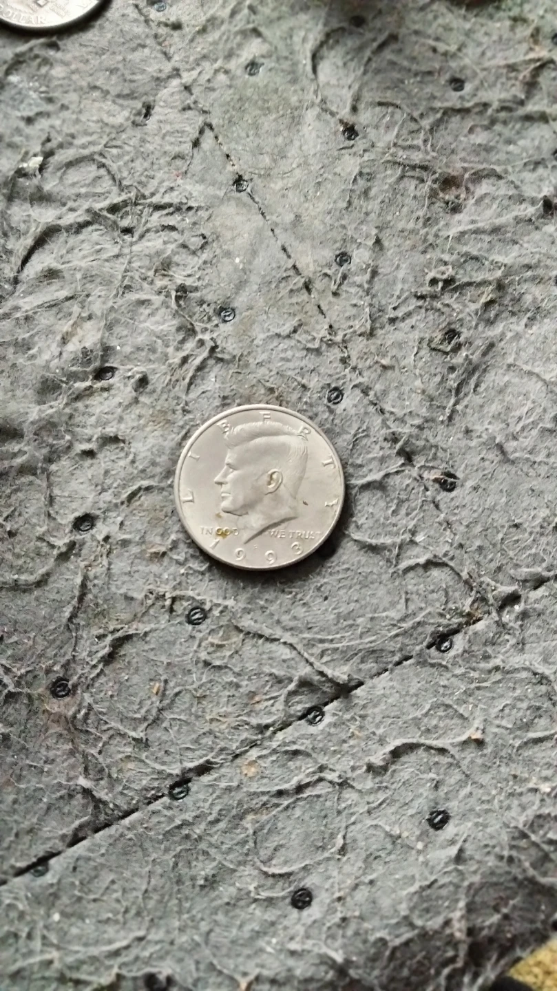 Se vende moneda de 25 centavos - photo 2