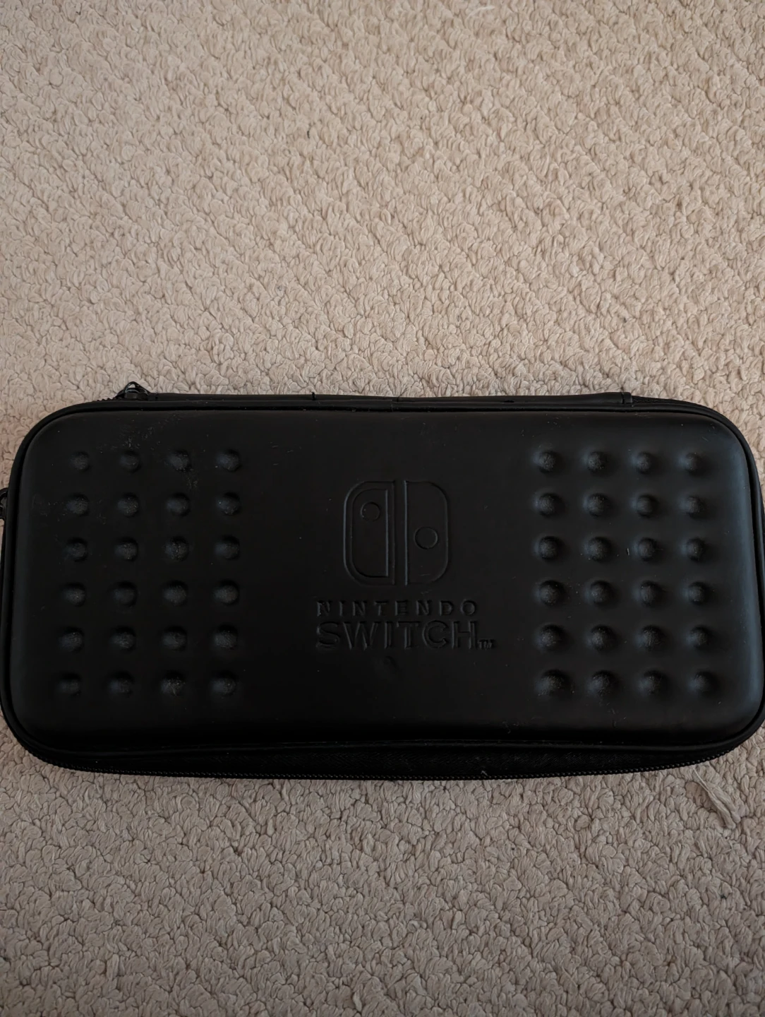 Nintendo Switch Travel Case