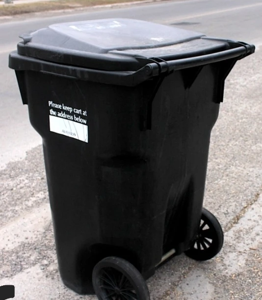 Trash Bin - Cleaning - photo 4