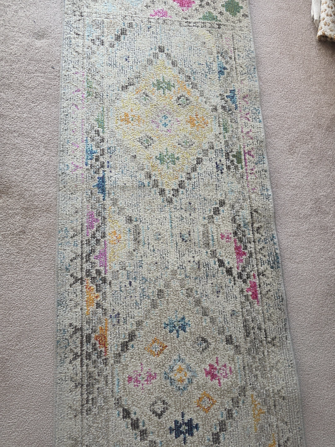 Area Rug - photo 3