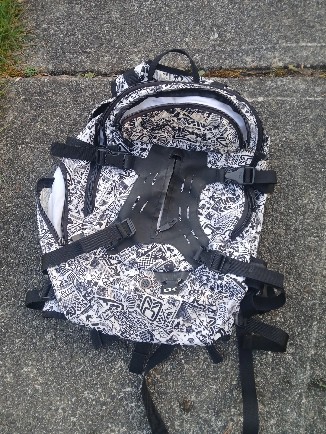 Dakine Backpack
