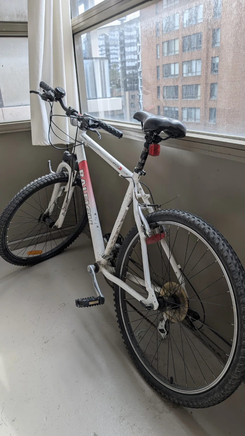 Raleigh Bike