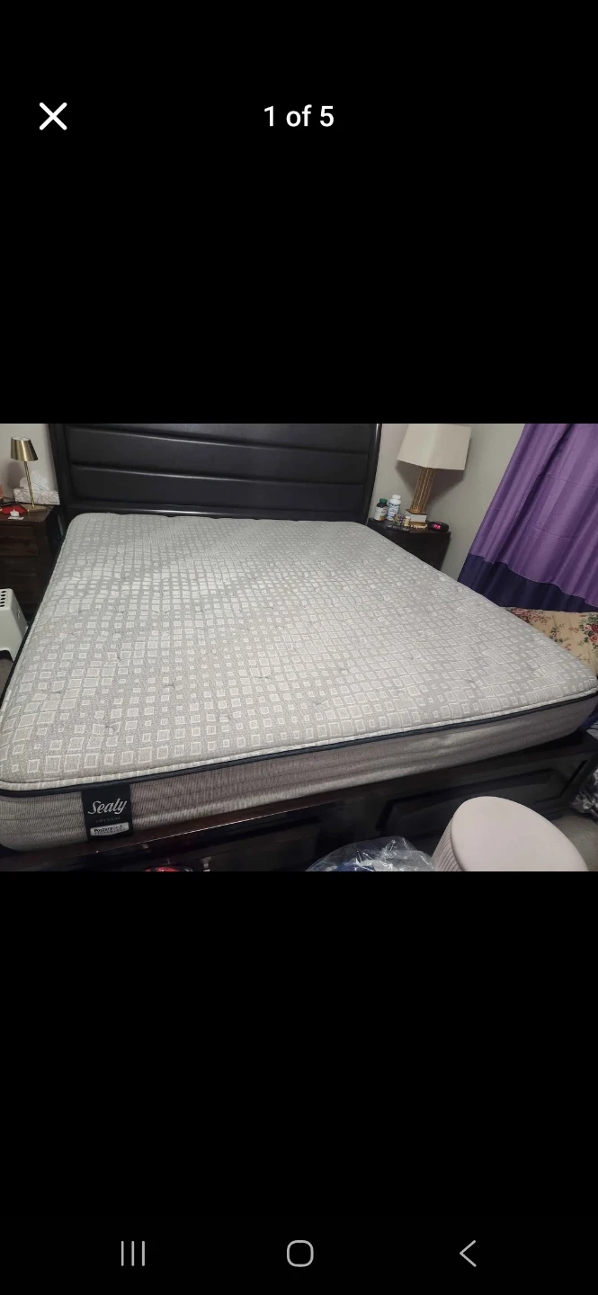 Sealy Mattress king