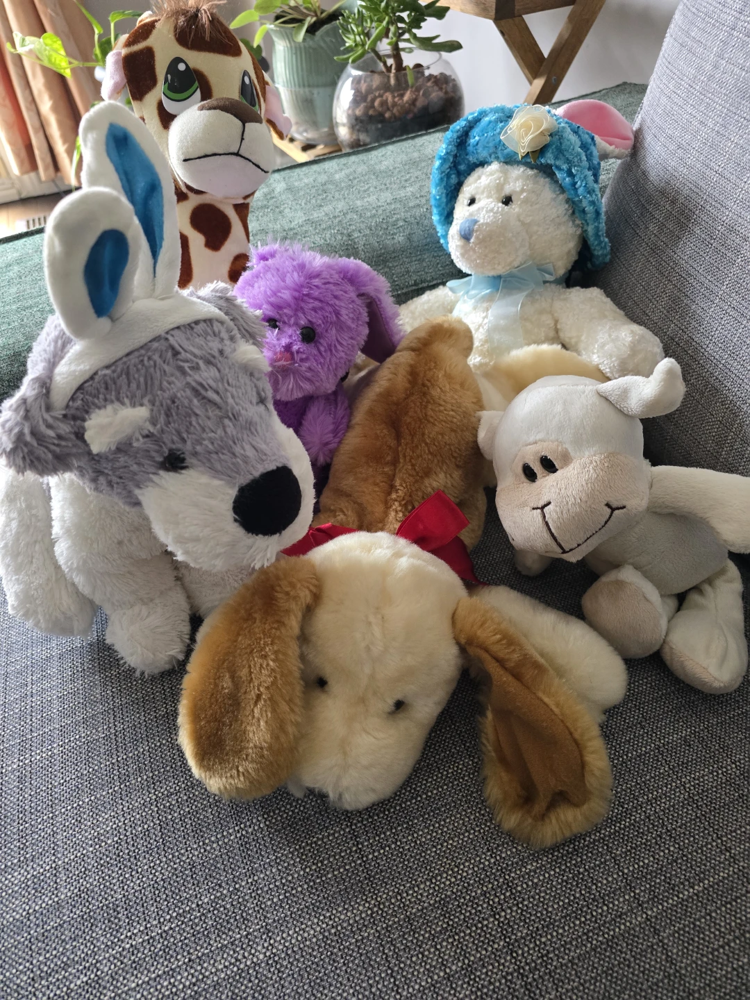 Collection of Stuffed Animals