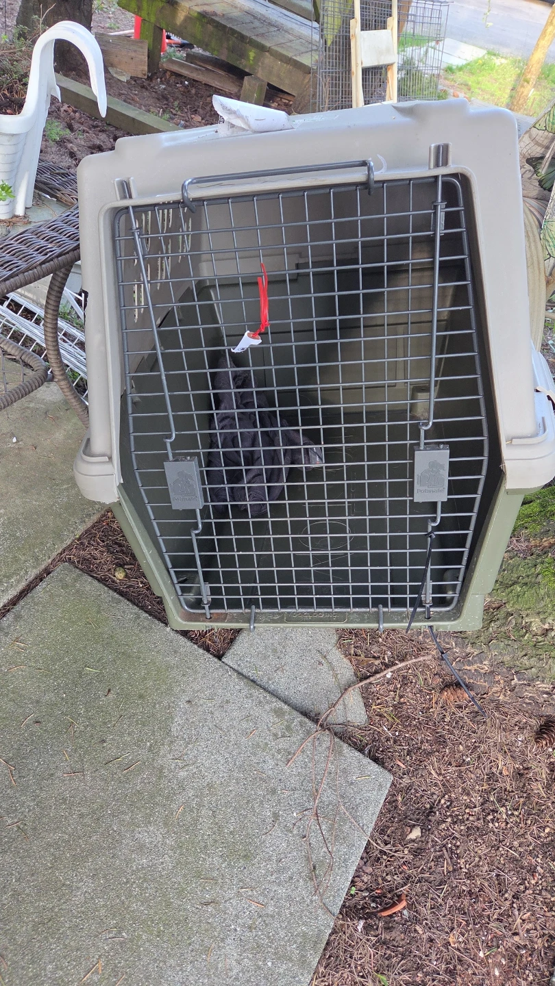 Petmate Dog Crate - photo 2