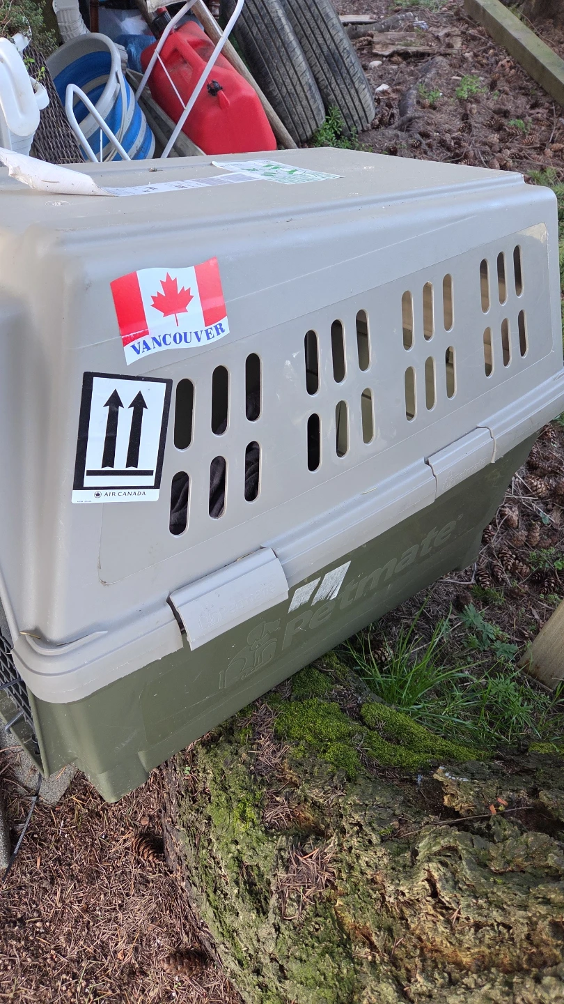 Petmate Dog Crate - photo 3