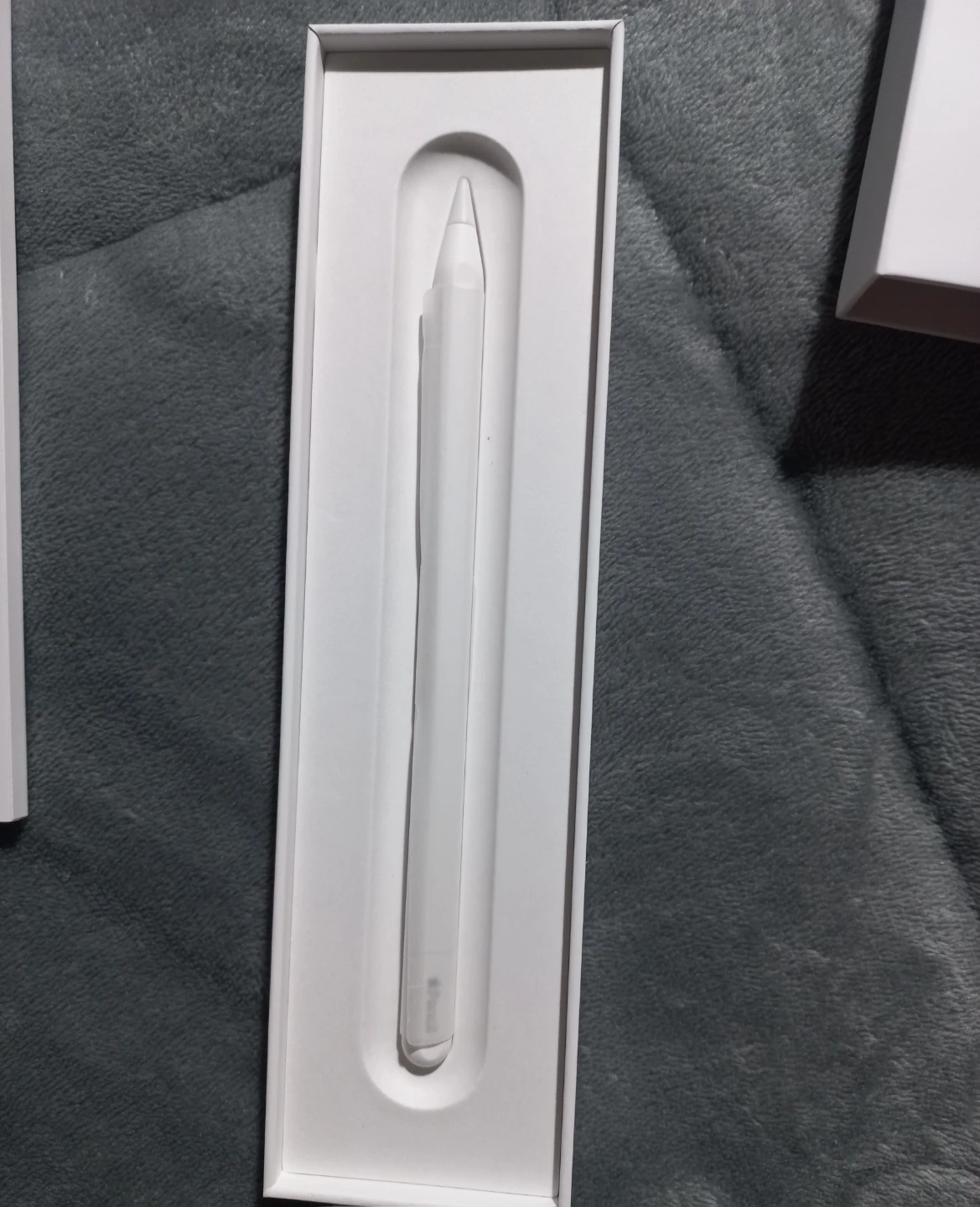 Apple Pencil USB-C