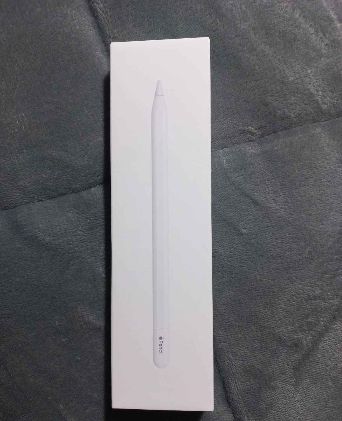 Apple Pencil USB-C - photo 2