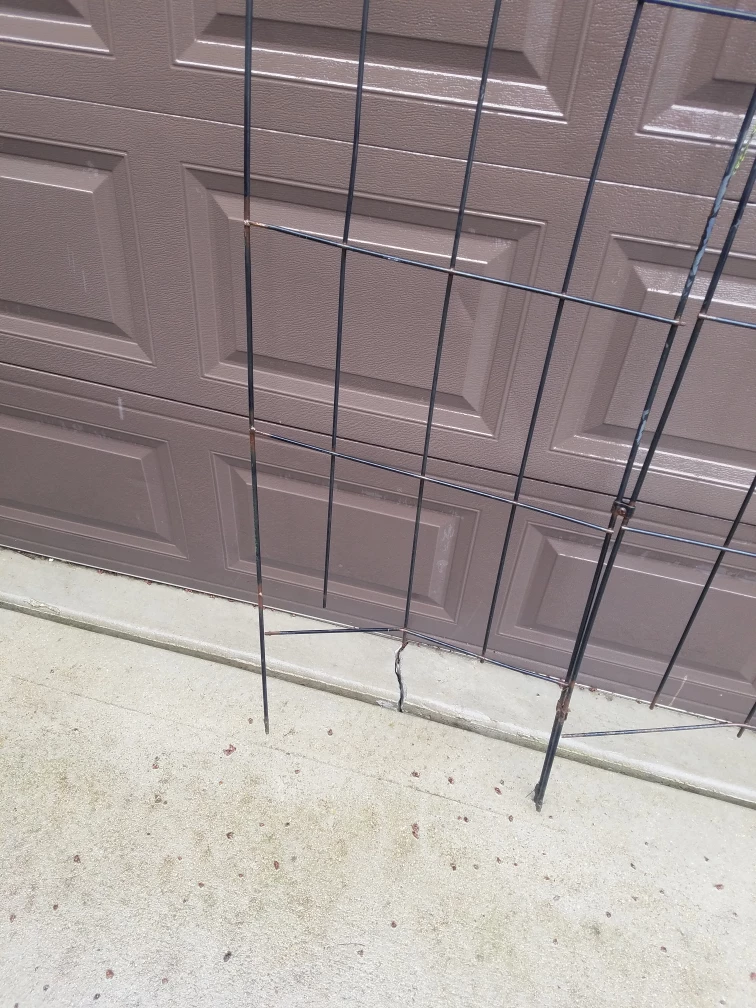 Metal Garden Trellis - photo 3