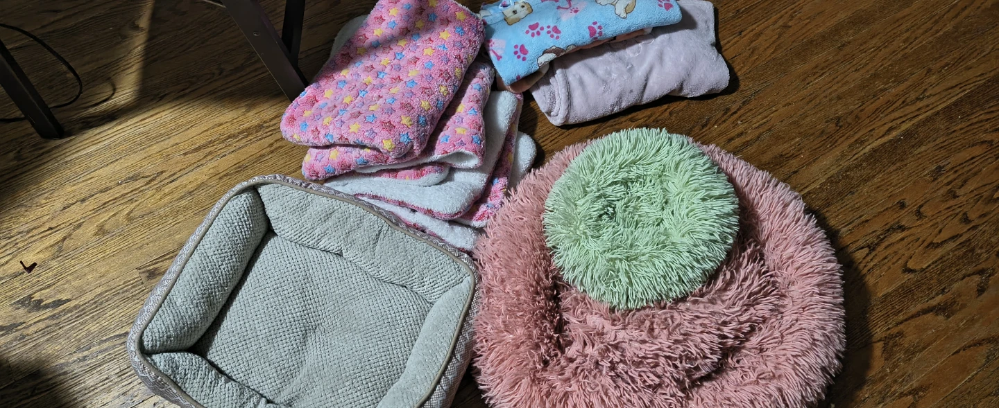 Bundle of Pet Blankets and Beds