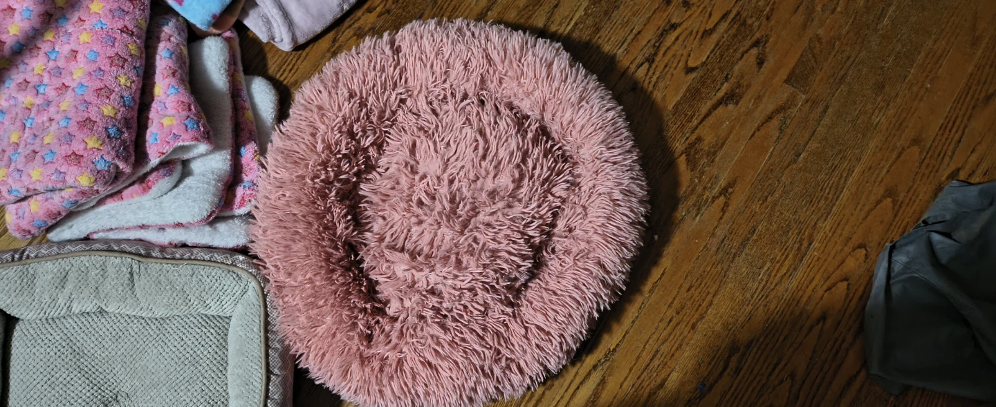 Bundle of Pet Blankets and Beds - photo 2