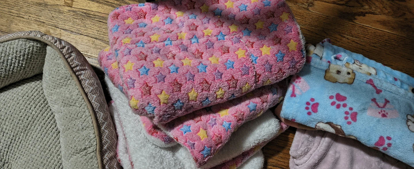 Bundle of Pet Blankets and Beds - photo 5