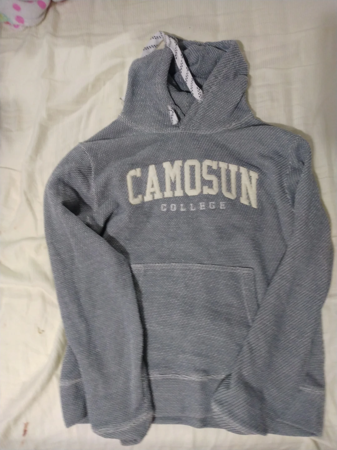 Camosun College Grey Hoodie