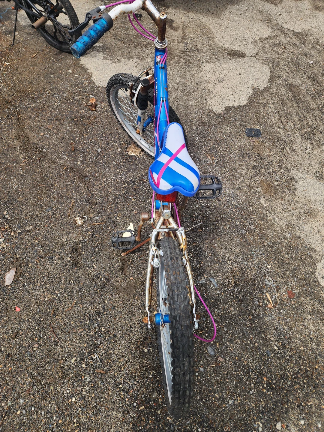 Pacific "Push Bike" 6 Speed Bicycle - photo 4