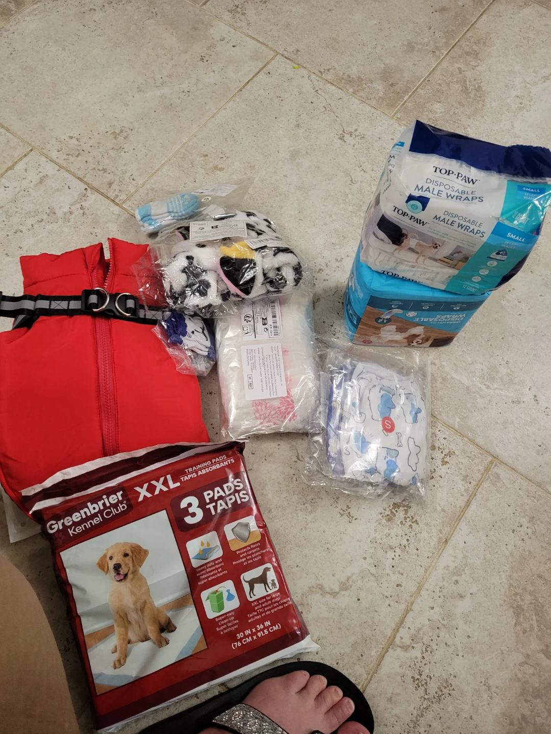 Dog Apparel and Accessories Lot