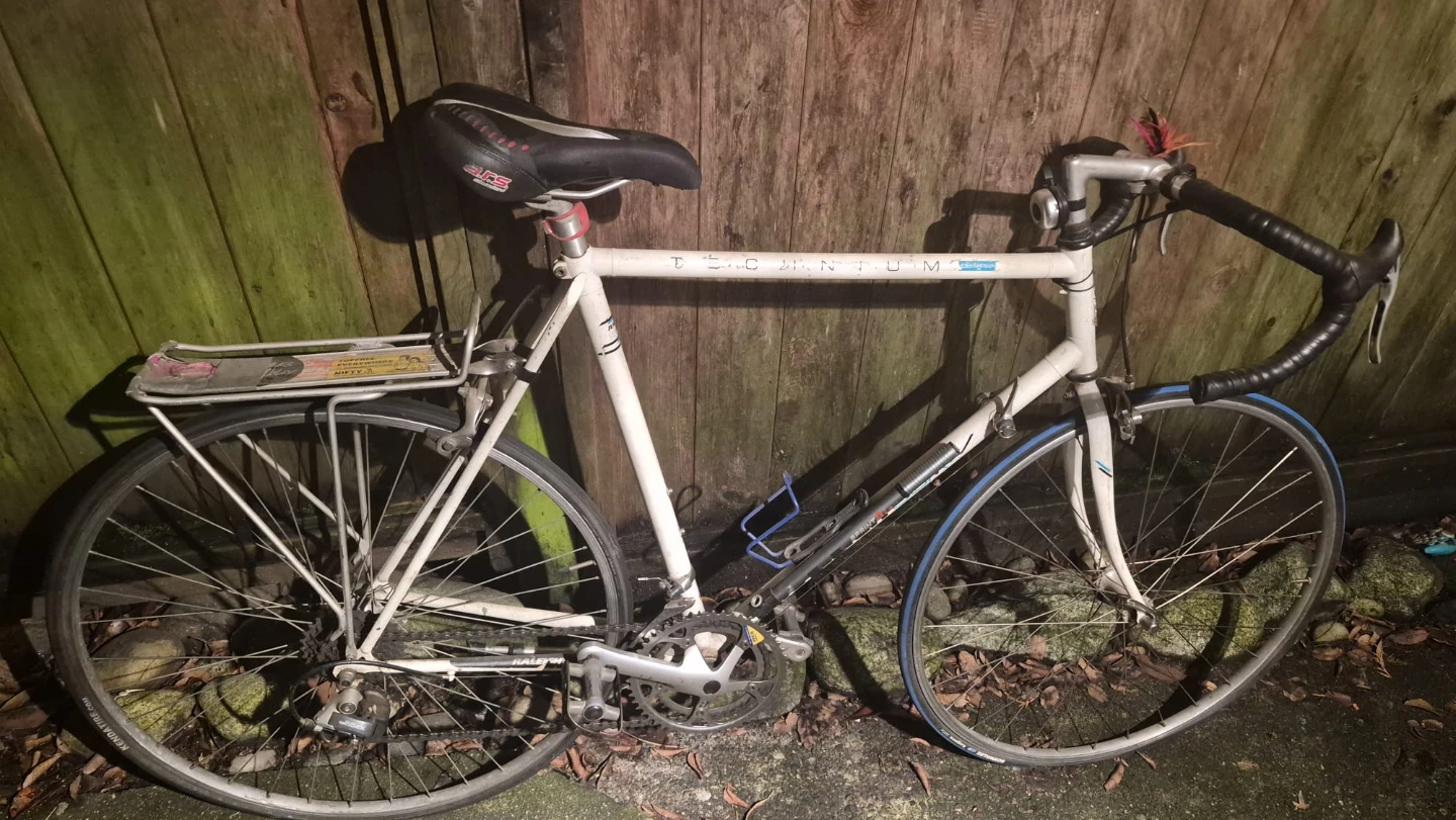 Techno-Pum Olympian Road Bike