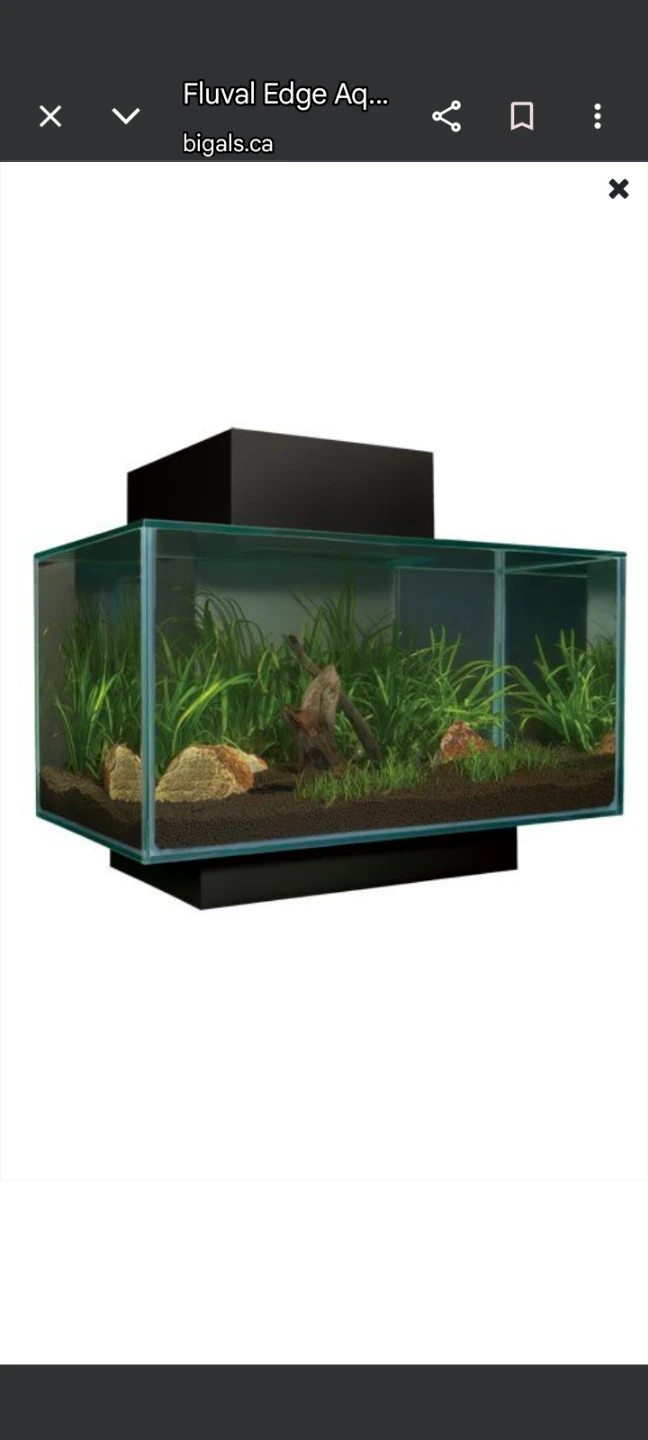Fluval Edge Aquarium Kit - 6 Gallon
