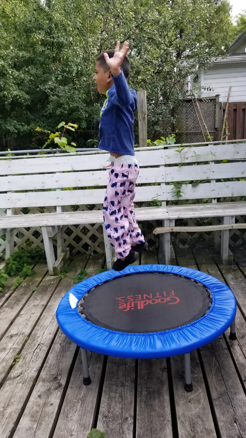GoodLife Fitness Trampoline
