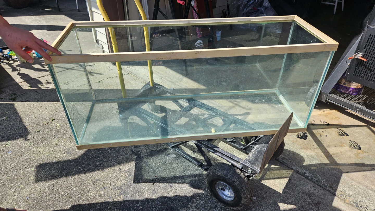 Fish tank