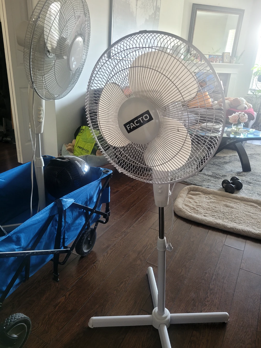 FACTO Pedestal Fan - White
