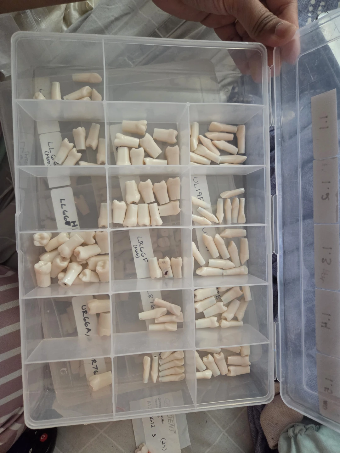 Kilgore 200 series teeth