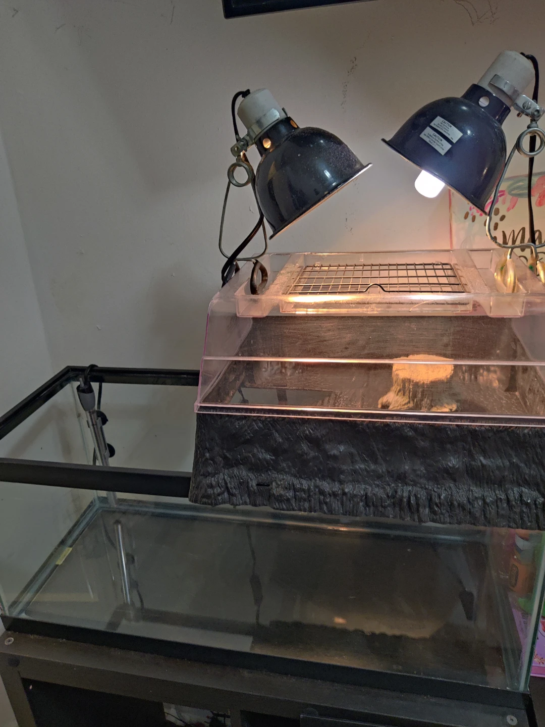 20 gallon long tank  turtle set - photo 2