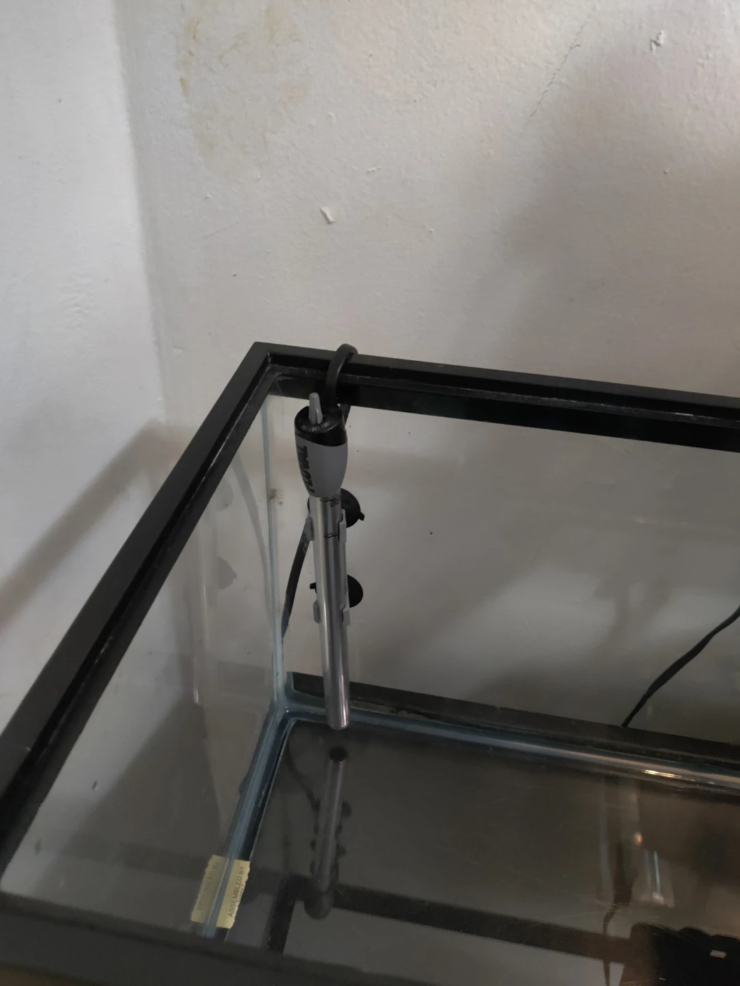20 gallon long tank  turtle set - photo 3