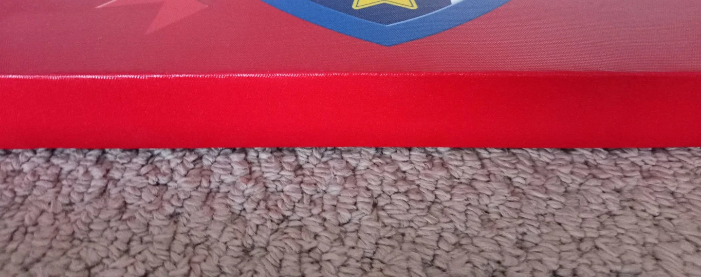 Nickelodeon Paw Patrol Canvas Prints 🌱 - photo 4