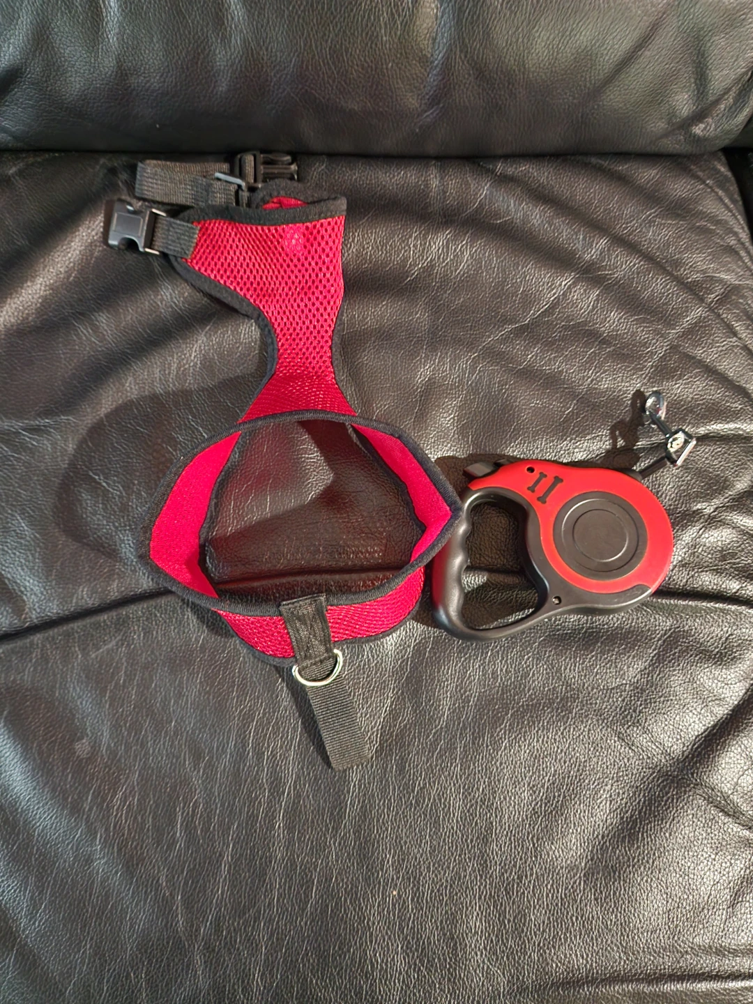 Red Dog Harness and Retractable Leash Set