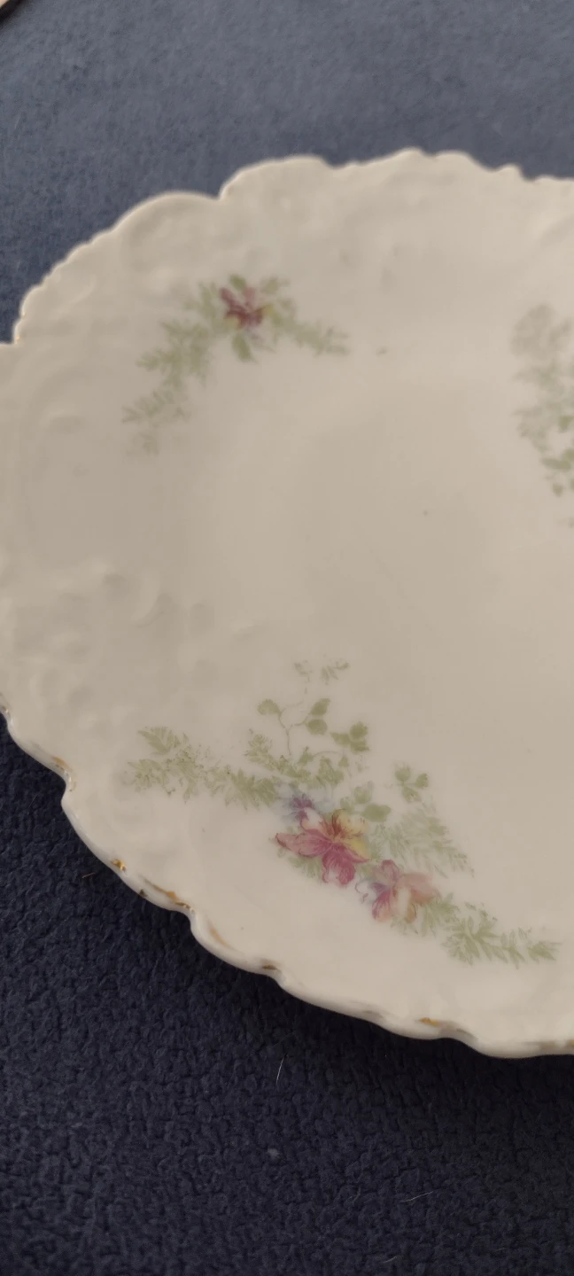 Antique Bohemia Porcelain Plates with Floral Design - photo 4
