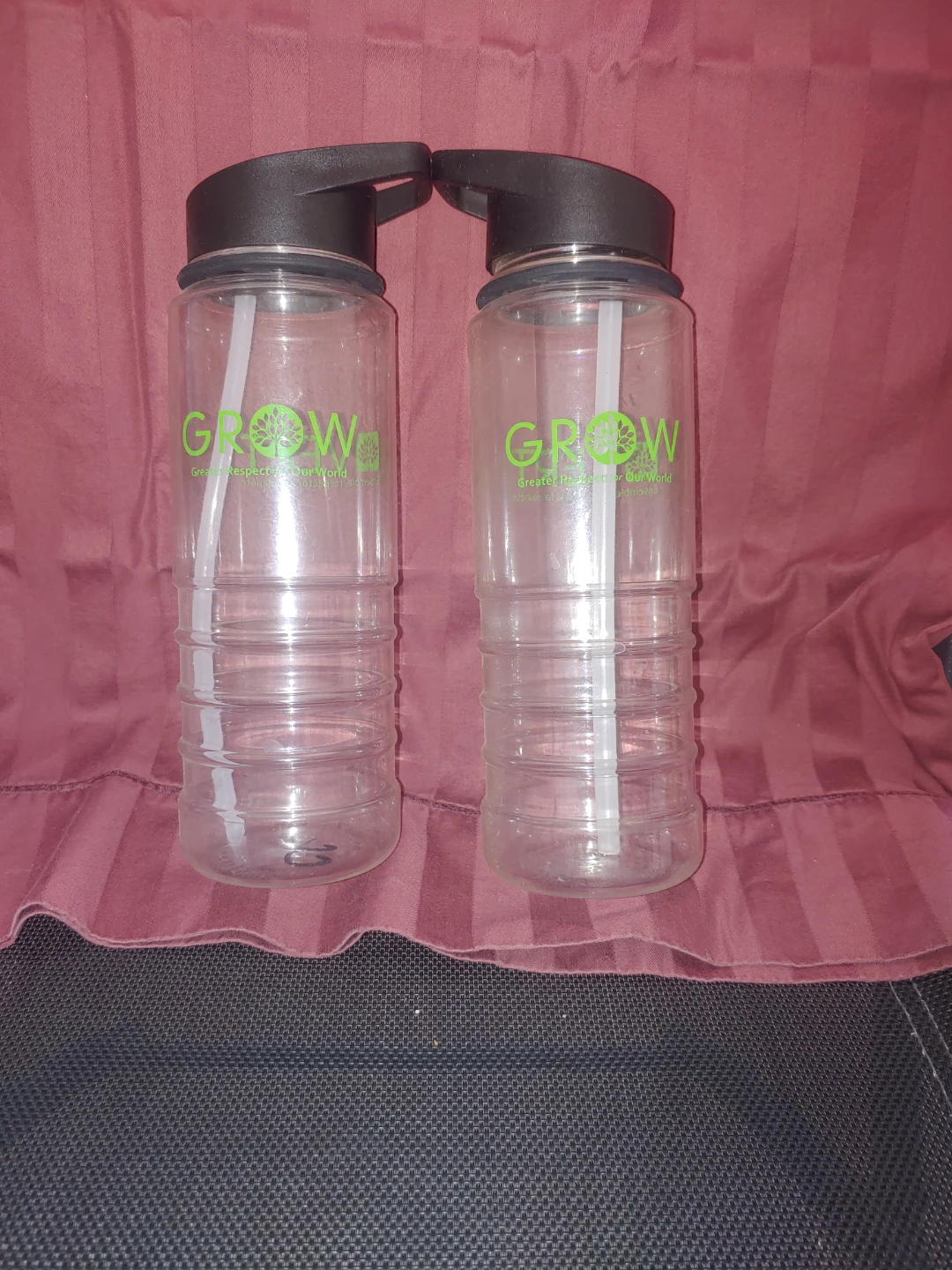GROW Water Bottles with Straws - Set of 2