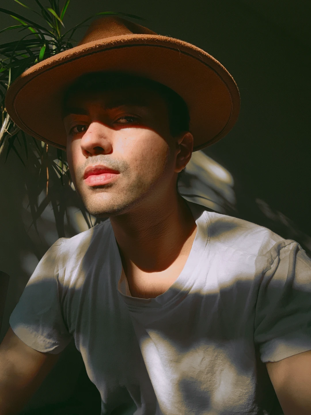 Unisex Brown Fedora Hat - photo 3