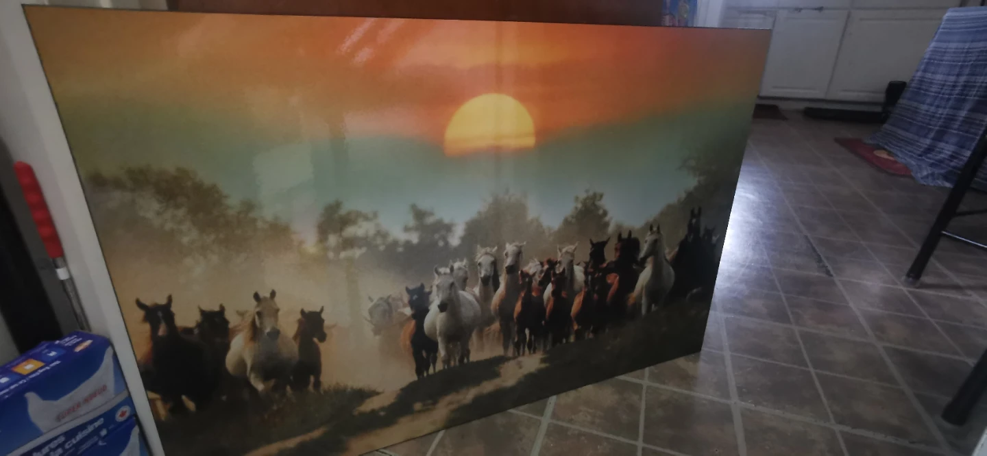 Large Horses Running Wall Art