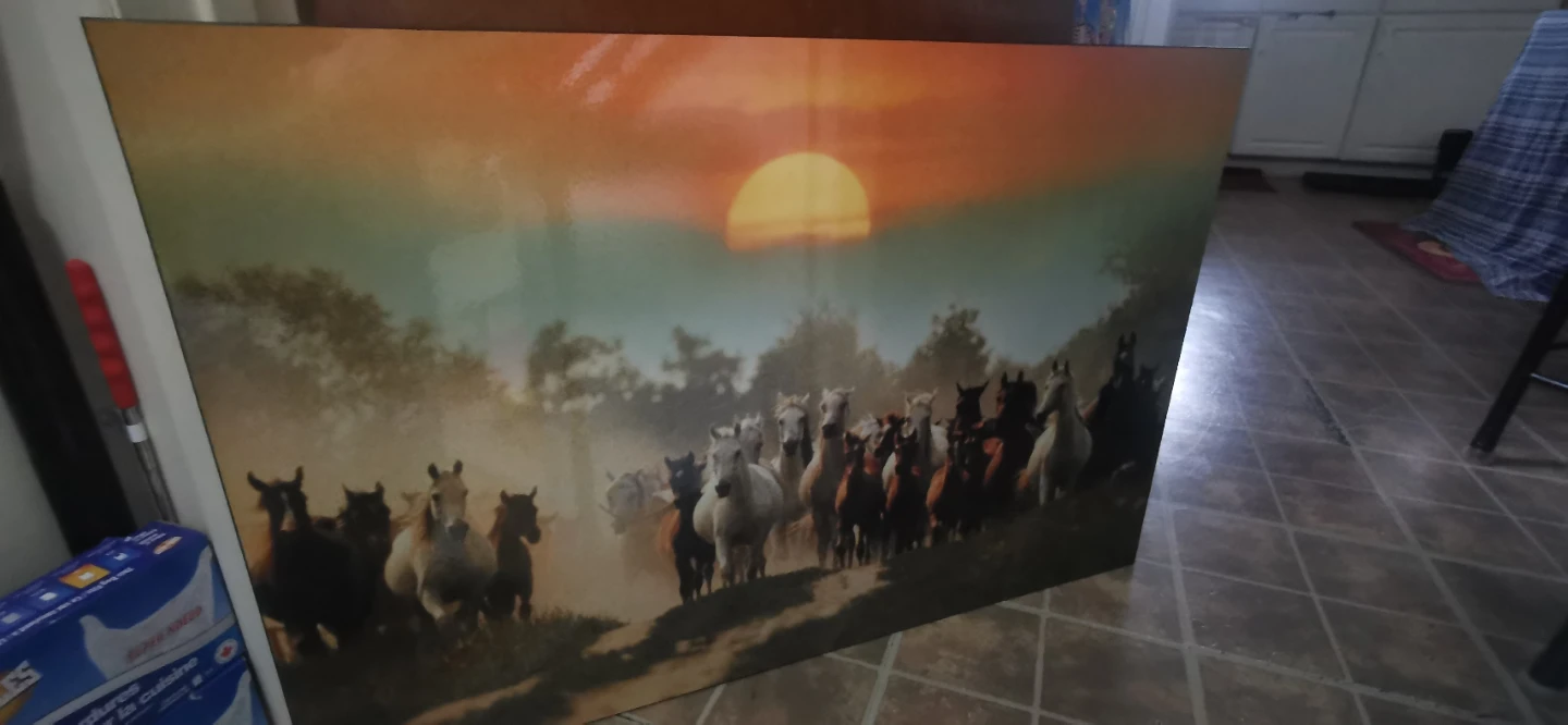 Large Horses Running Wall Art - photo 2