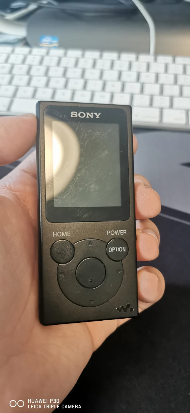 Sony Walkman NW-E394 Digital Music Player