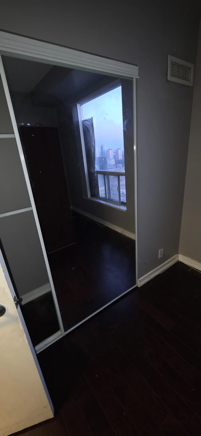Mirrored Closet Doors