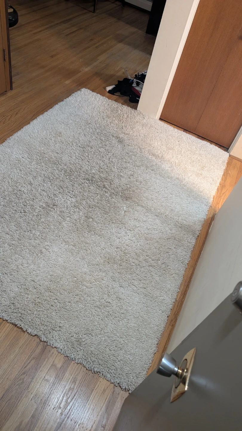 nuLoom large oeko-tex certified rug