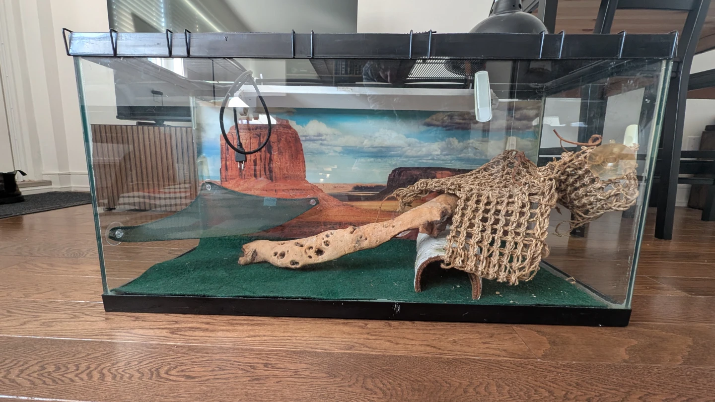 35 Gallon Reptile Tank with Accessories