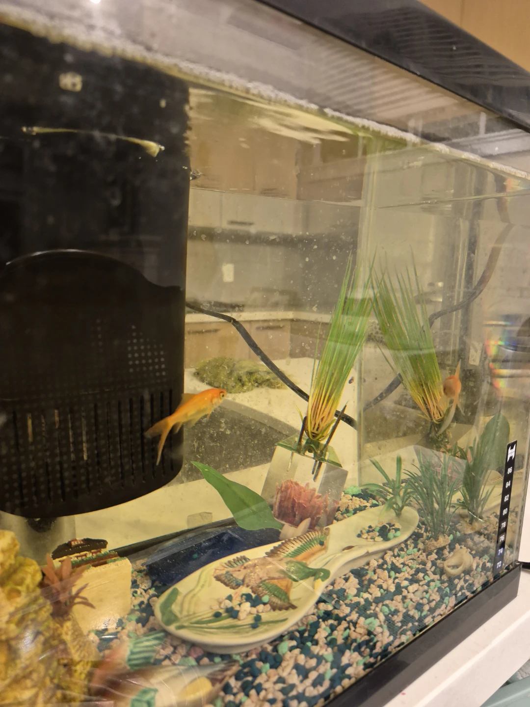 Aquarium Fish Tank with Filter and Decorations - photo 2