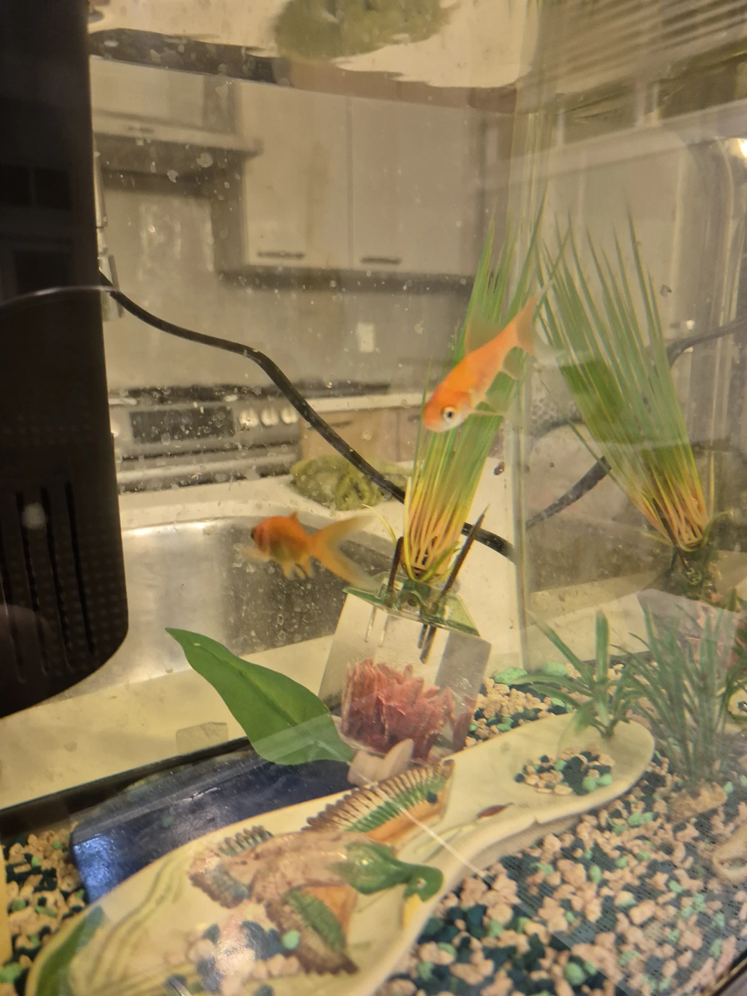 Aquarium Fish Tank with Filter and Decorations - photo 3