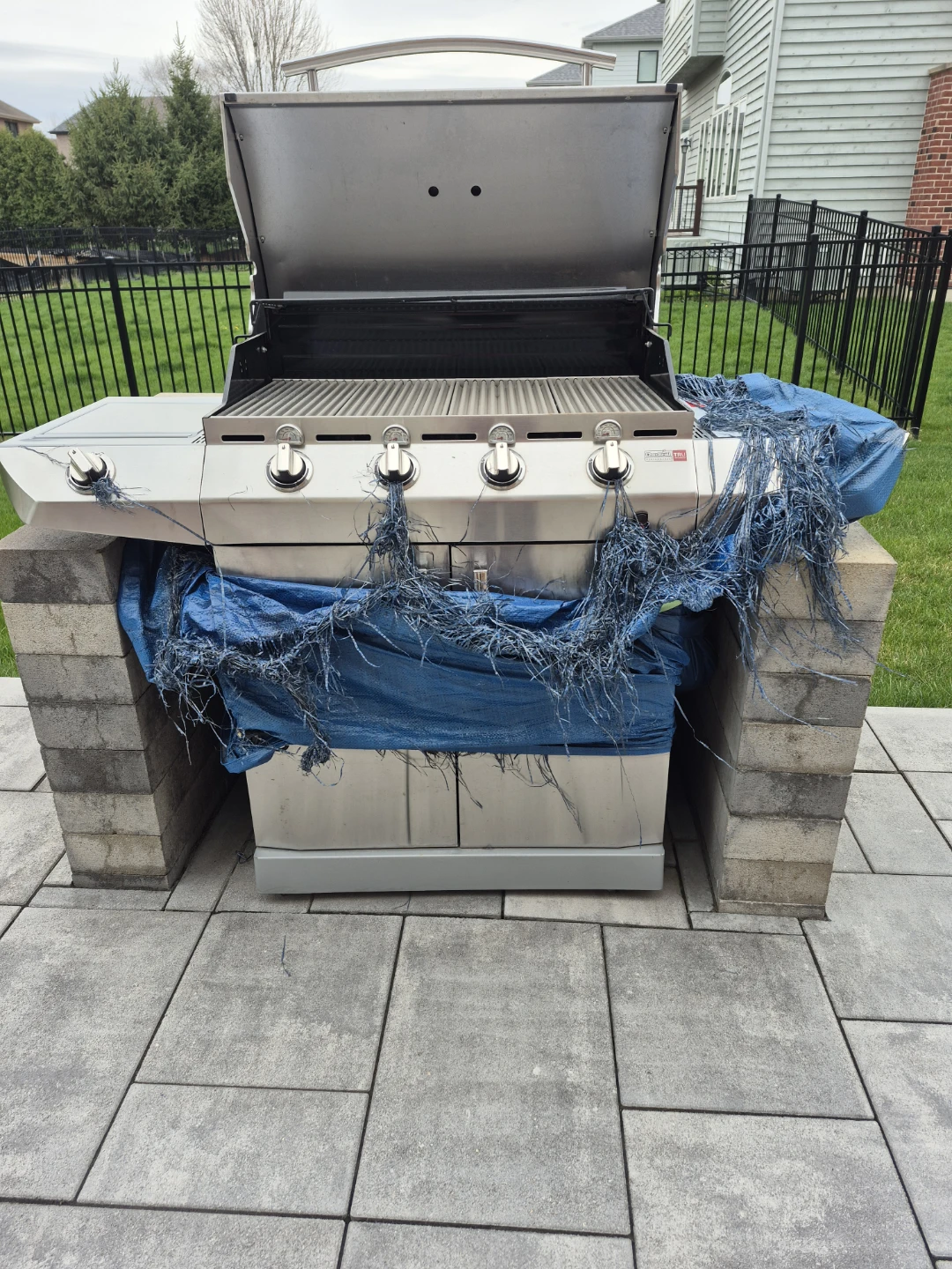 Char-Broil Performance TRU-Infrared Gas Grill - photo 4