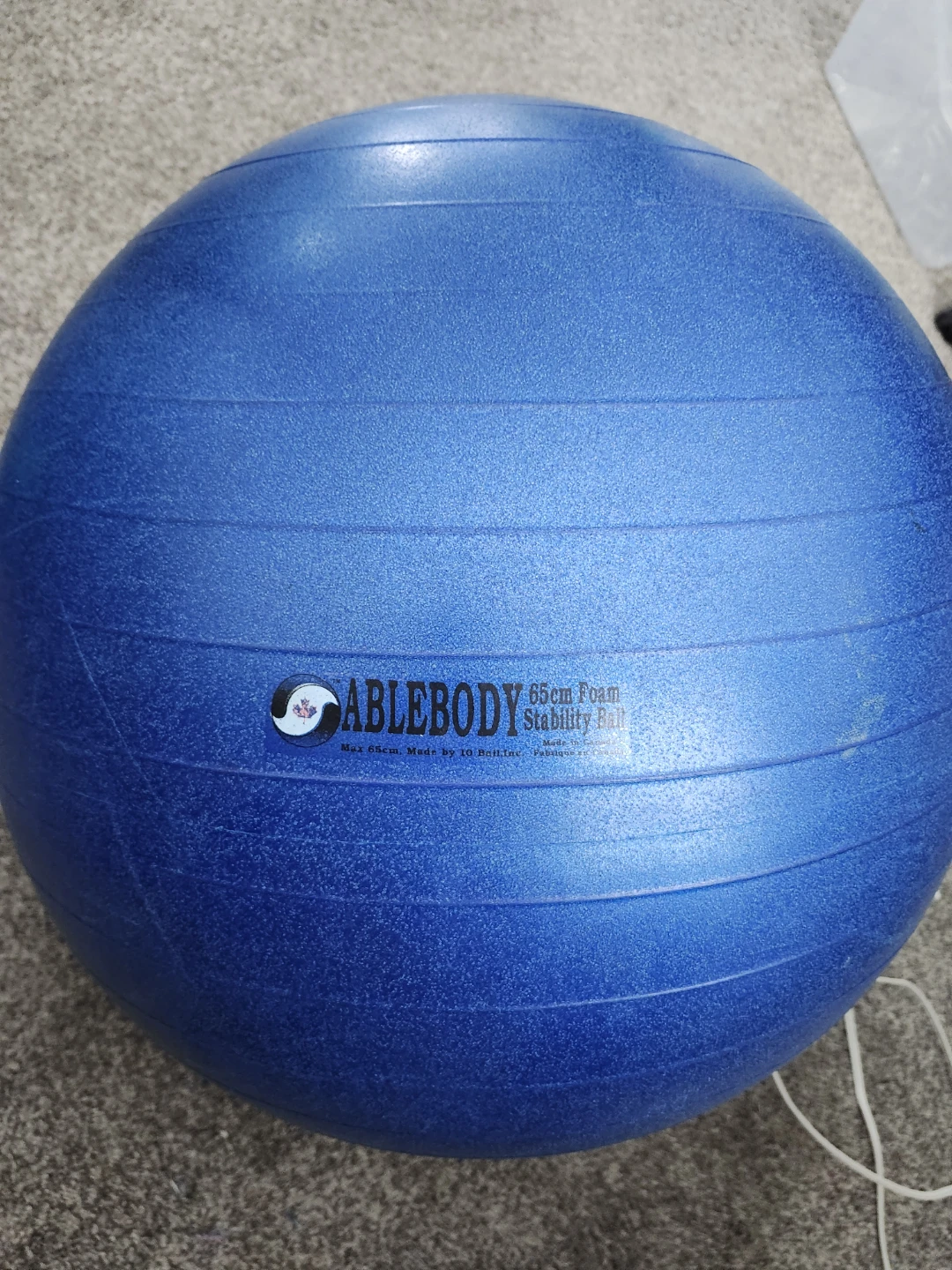 ABLEBODY 65cm Foam Stability Ball